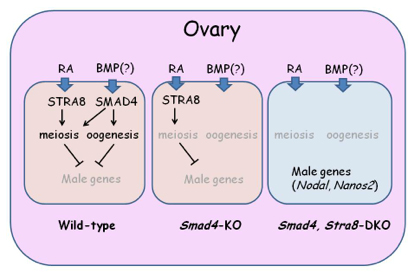 Figure1