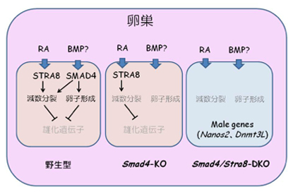 Figure1