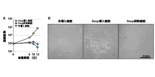 Figure1