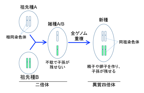 Figure1