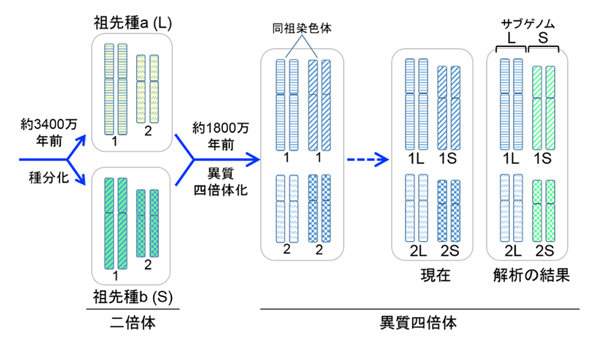 Figure1