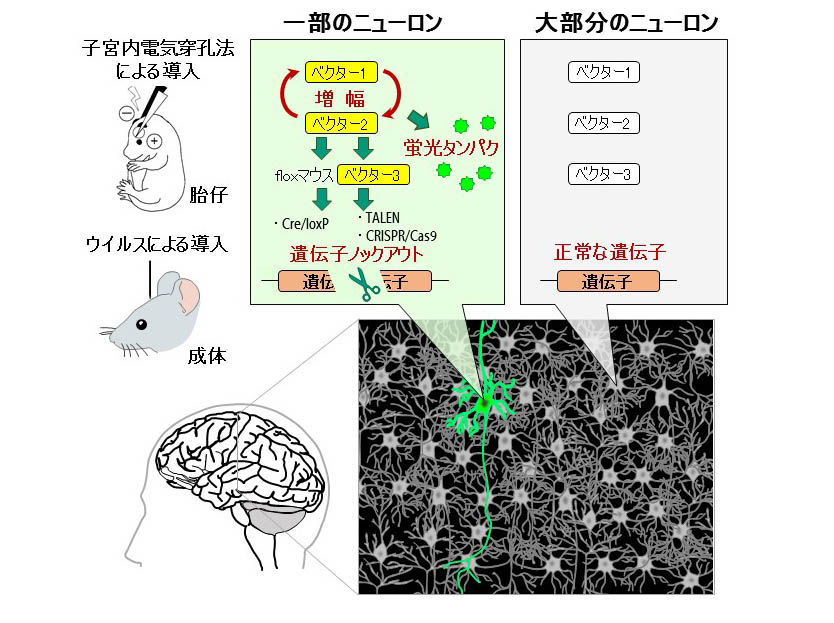 Figure1