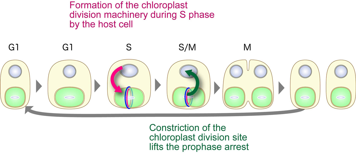 Figure1