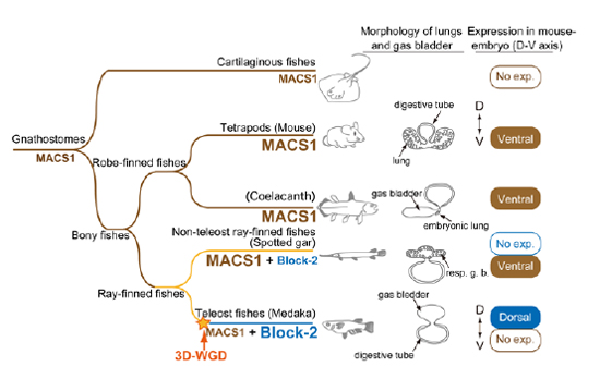 Figure1