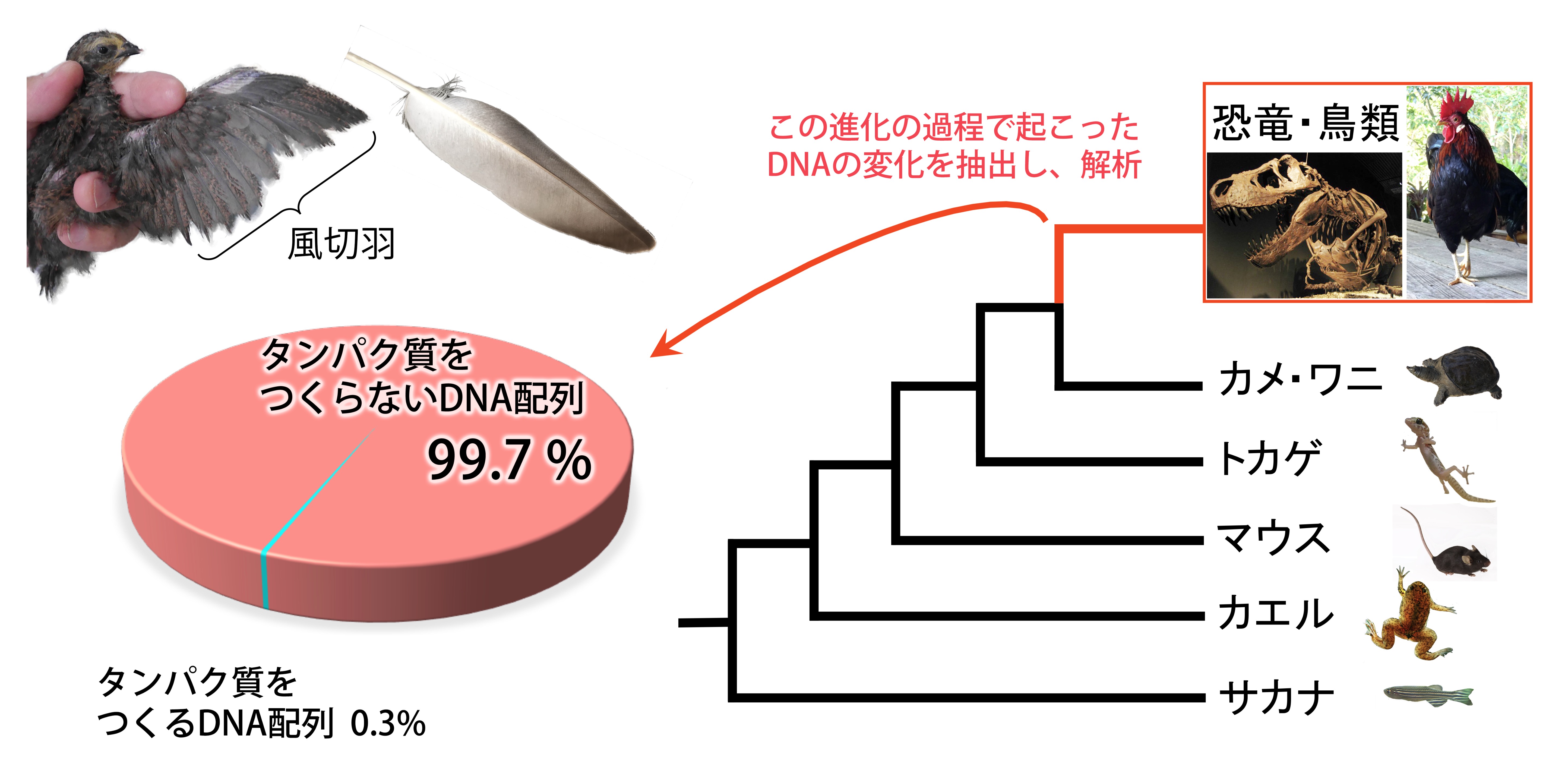 Figure1