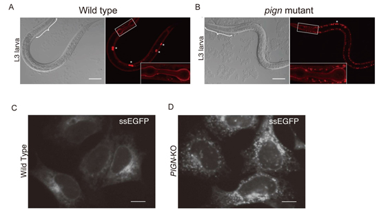 Figure1