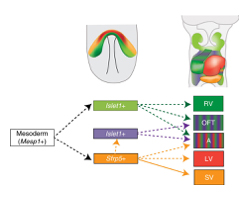 Figure1