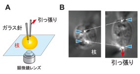 Figure1