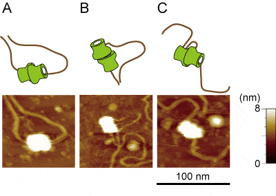 Figure1