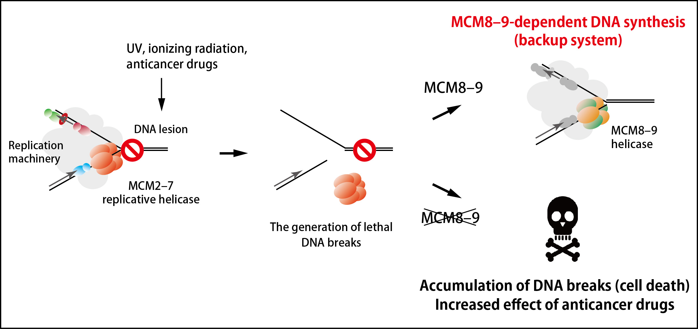 Figure1