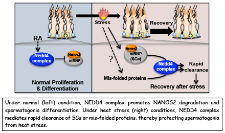 Figure1