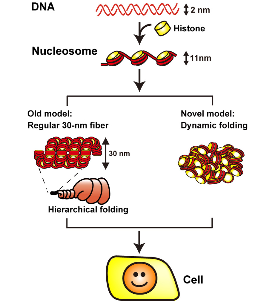 Figure1