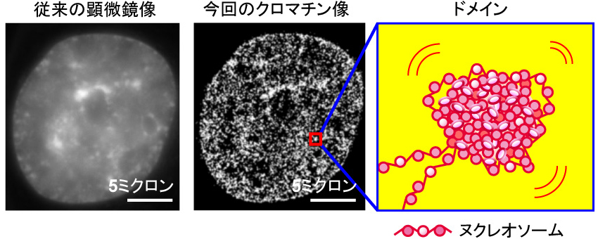 Figure1