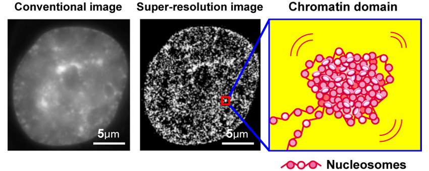 Figure1