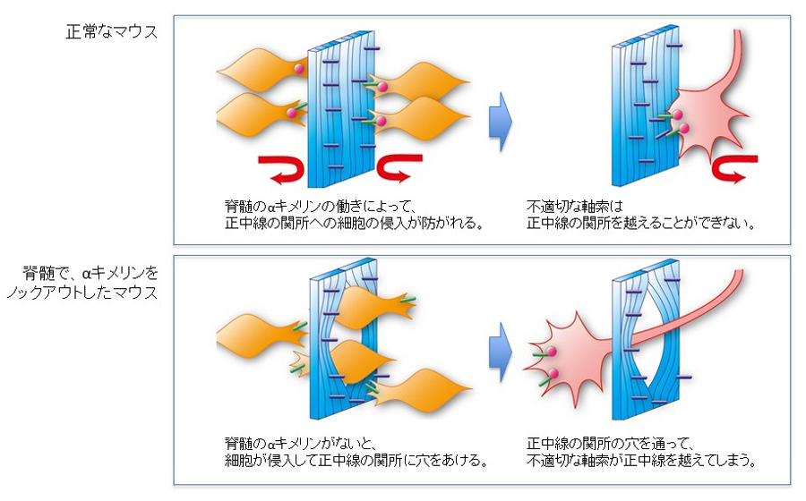 Figure1