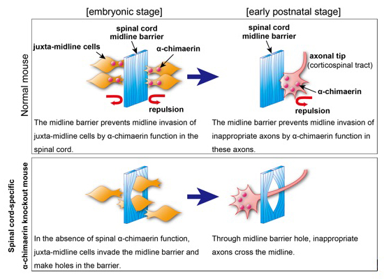 Figure1