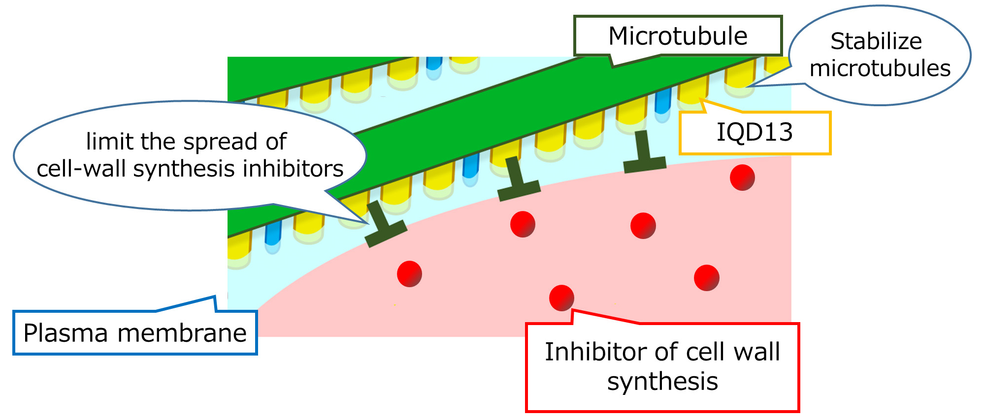 Figure1