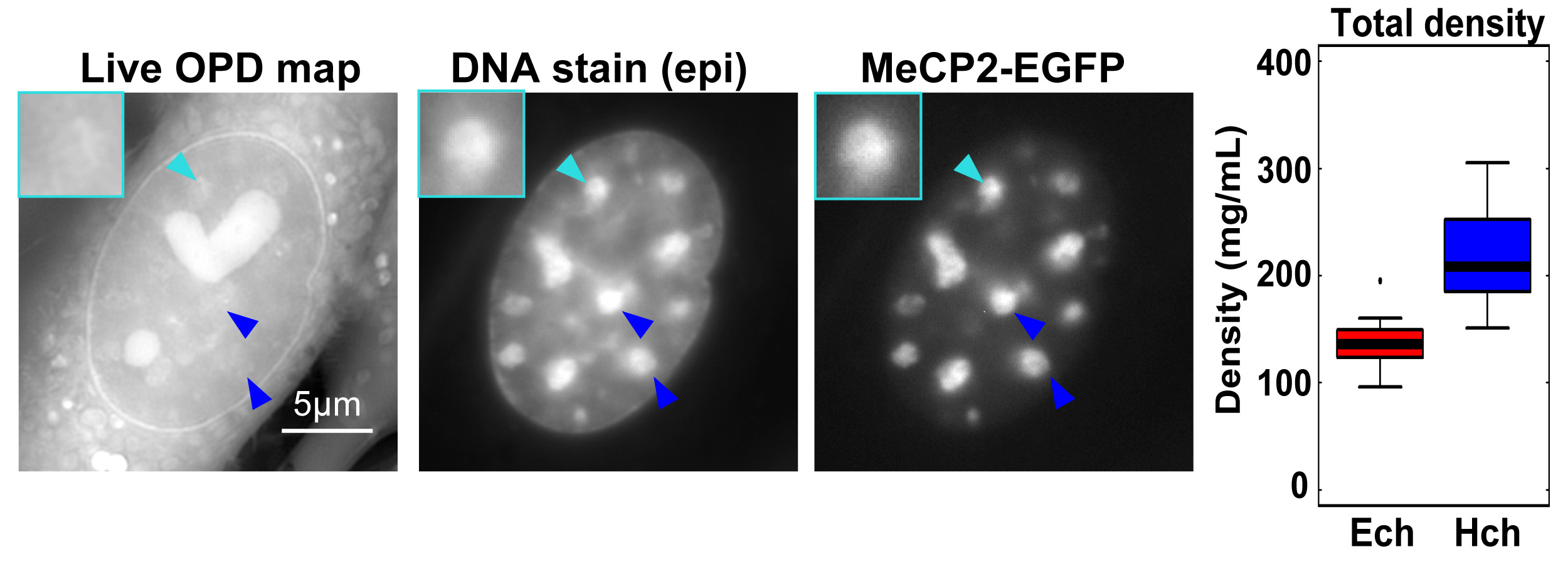 Figure1