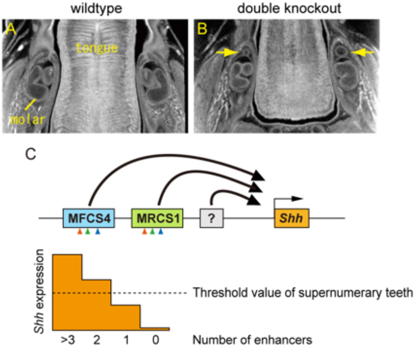 Figure1