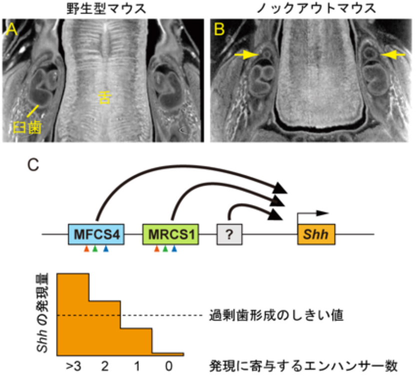 Figure1