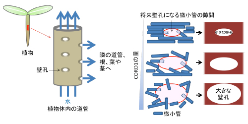 Figure1