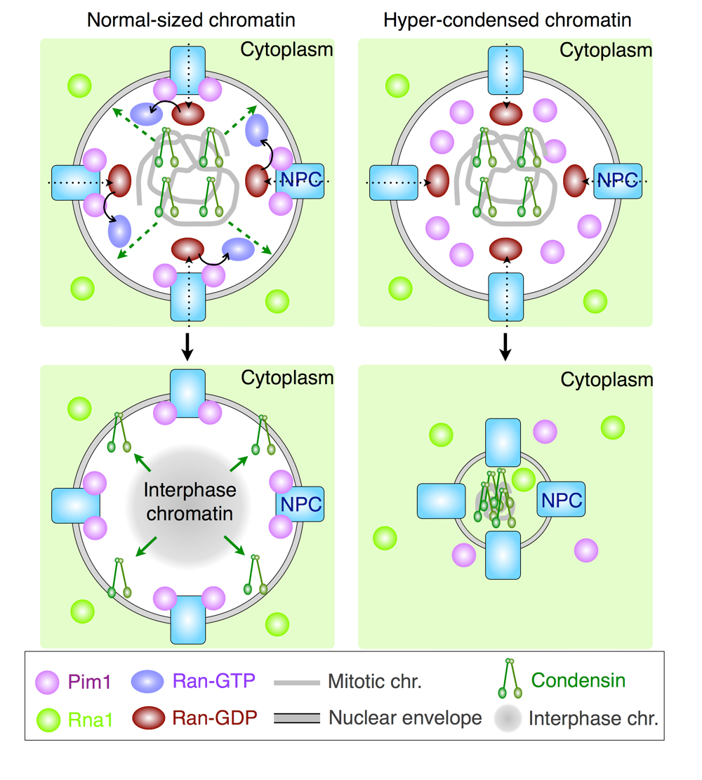 Figure1