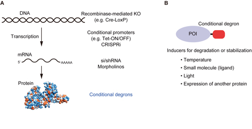 Figure1