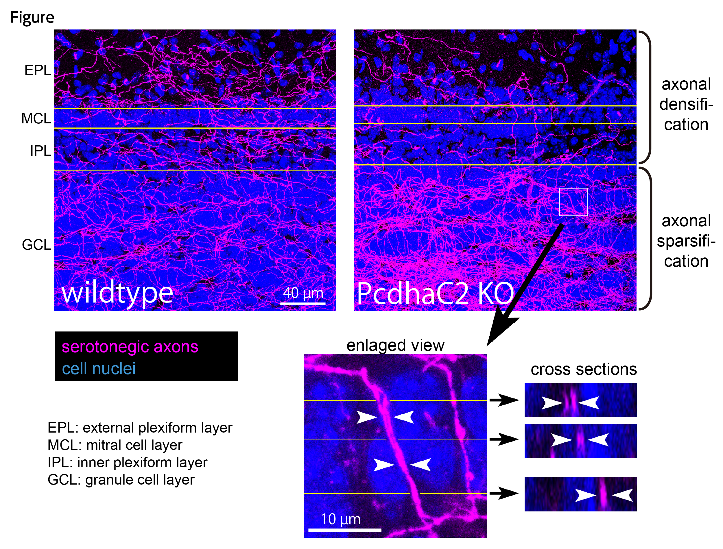 Figure1