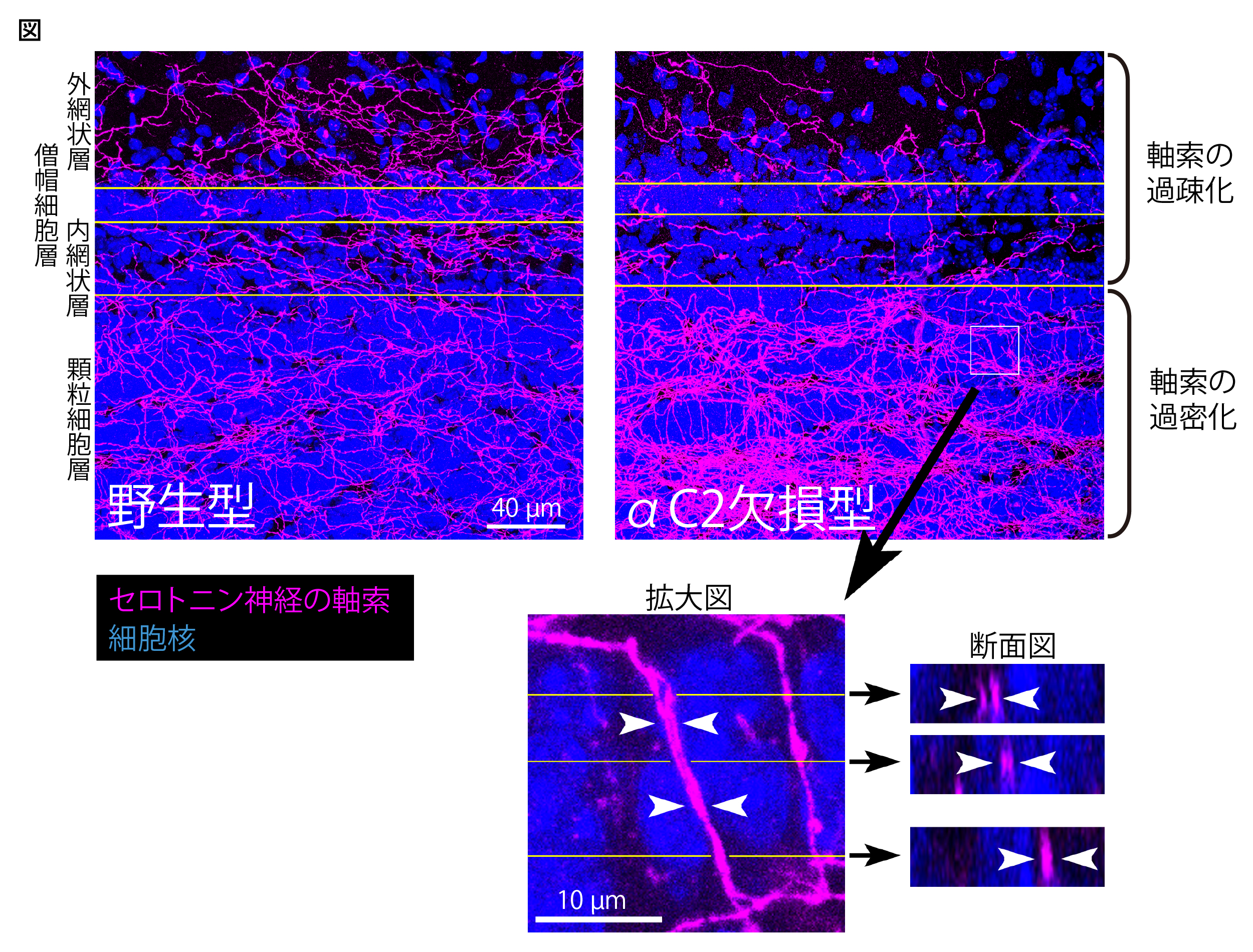 Figure1