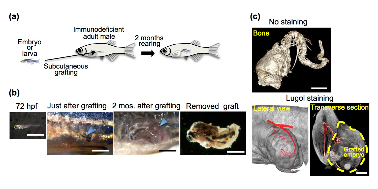 Figure1