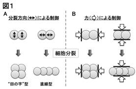 Figure1