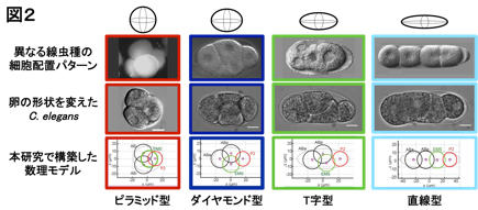 Figure1