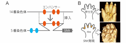 Figure1