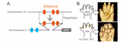 Figure1