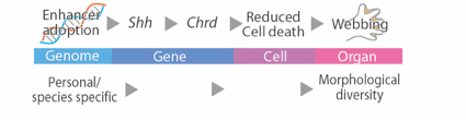 Figure1