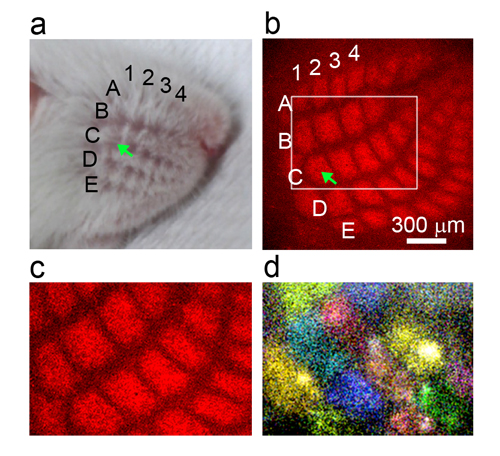 Figure1