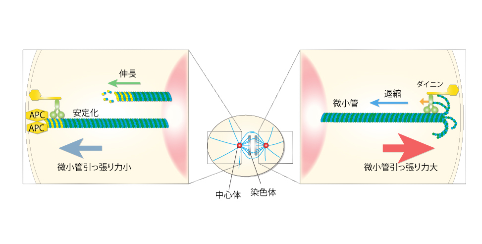 Figure1