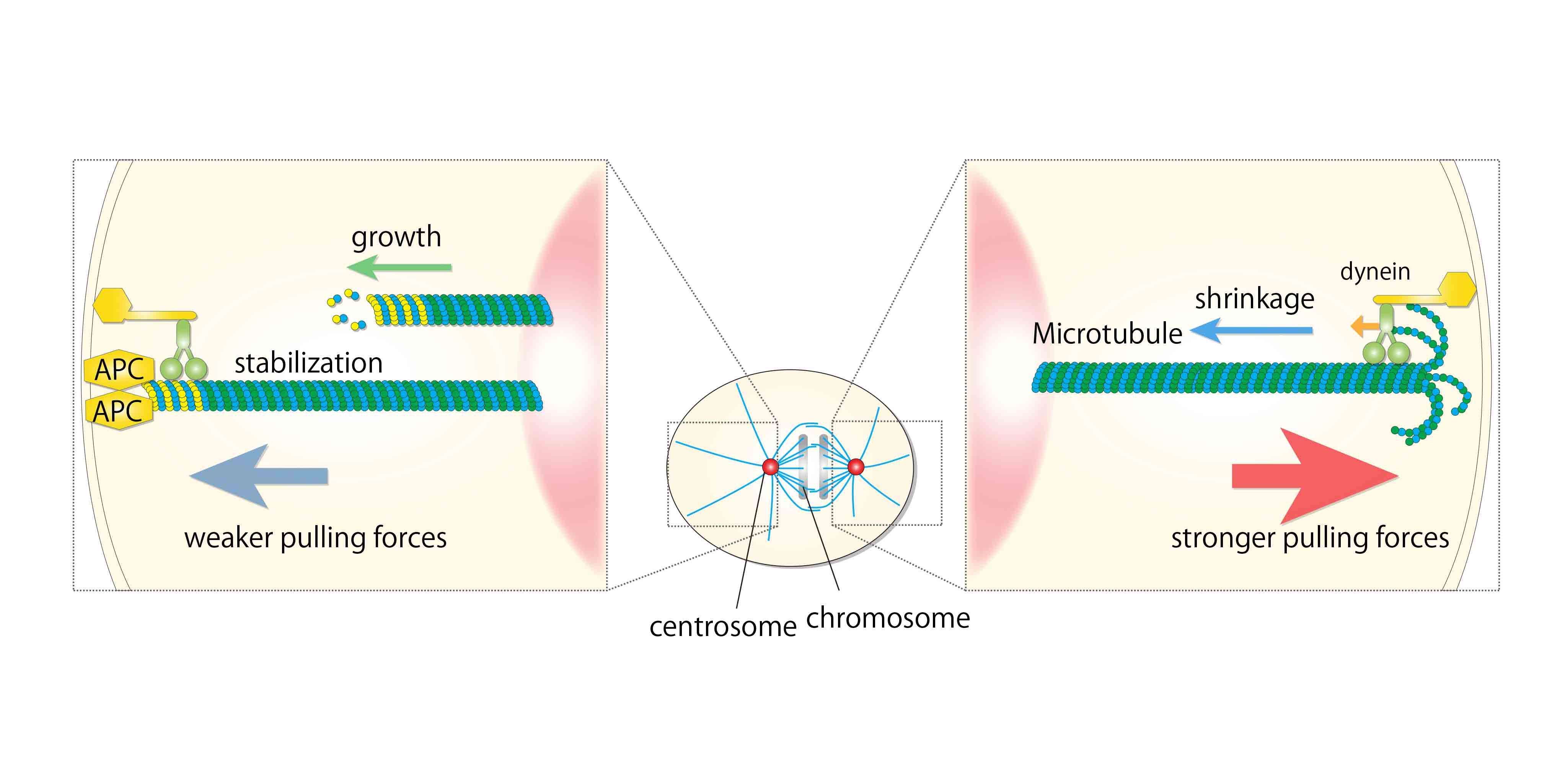 Figure1