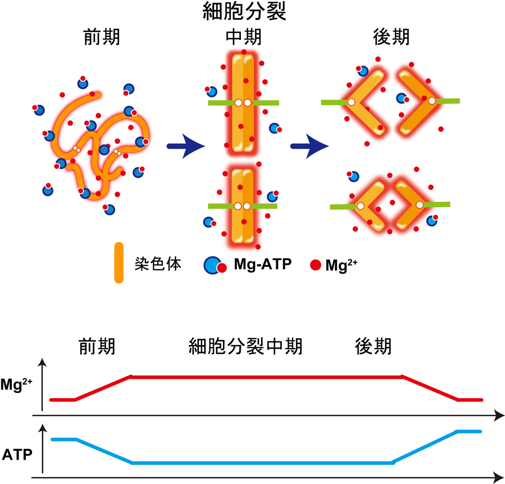 Figure1