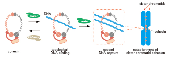 Figure1