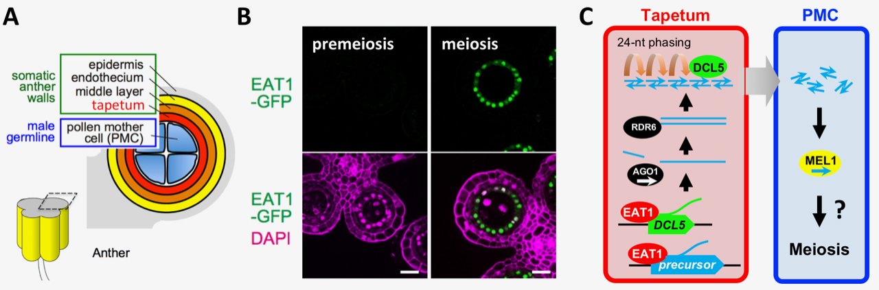 Figure1