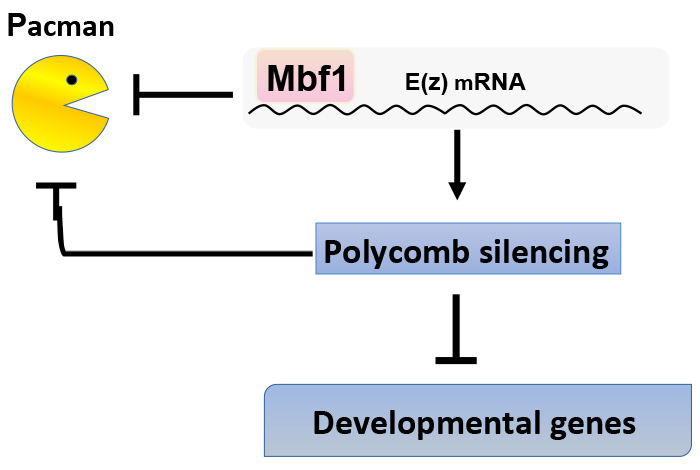 Figure1