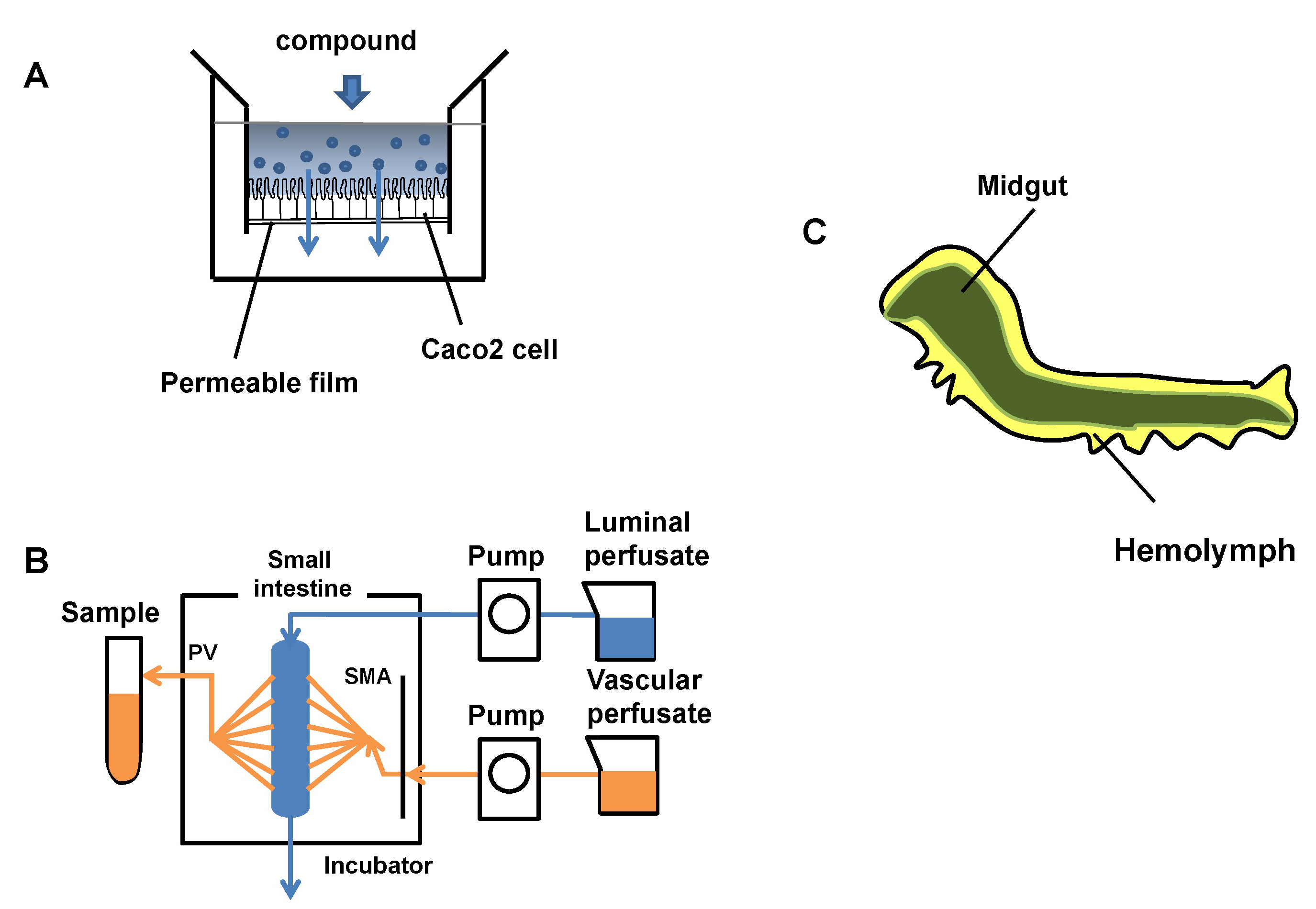 Figure1