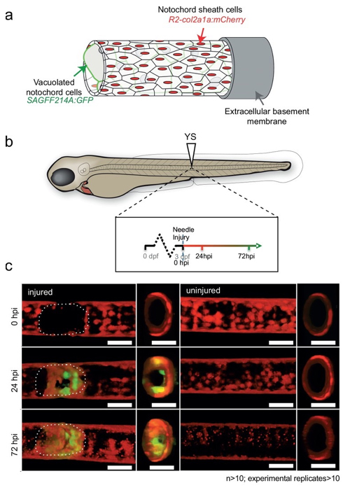 Figure1