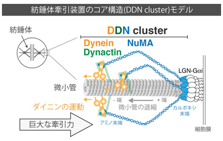 Figure1