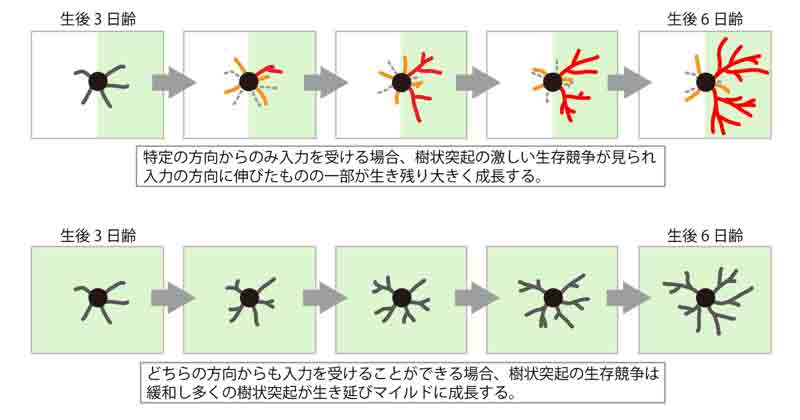 Figure1