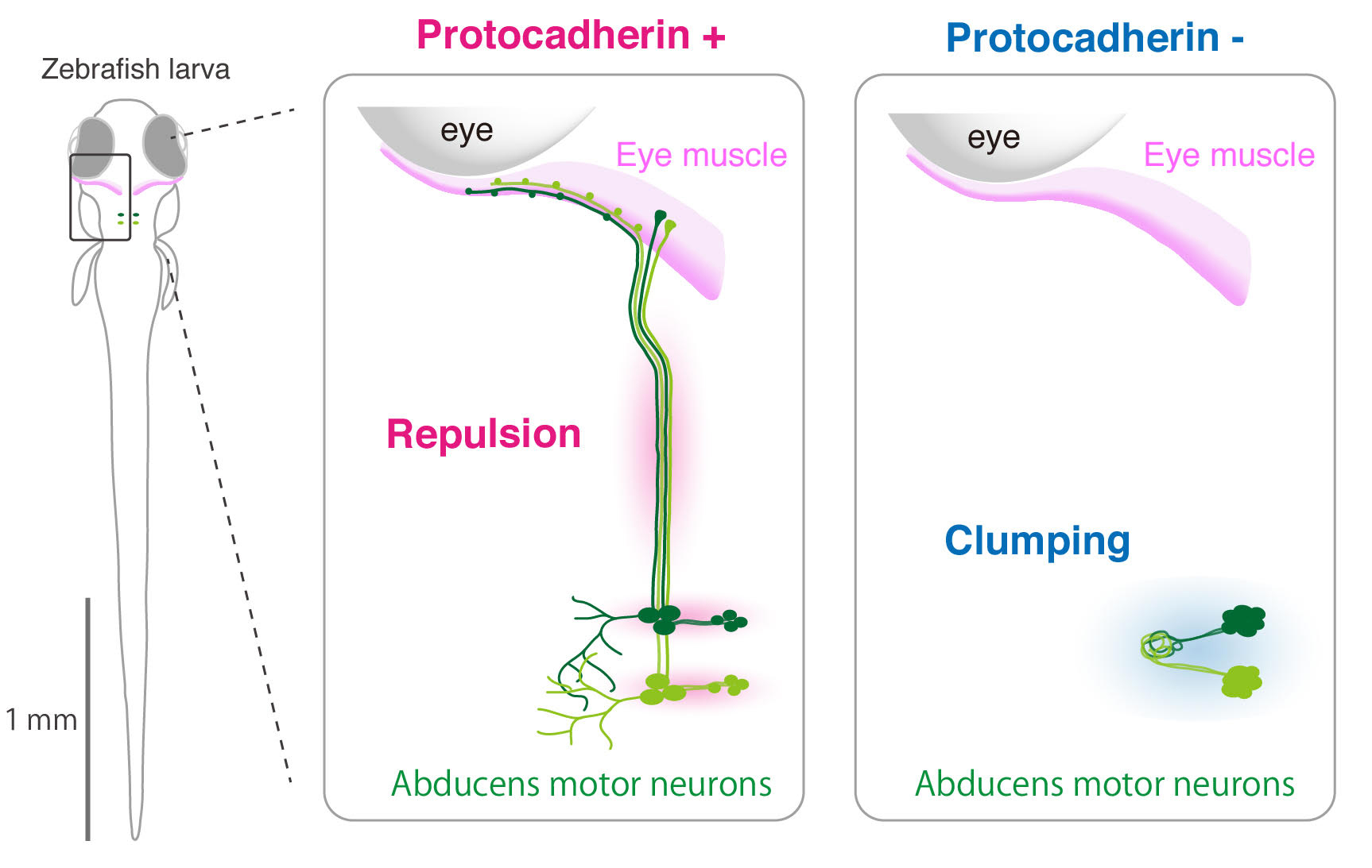 Figure1