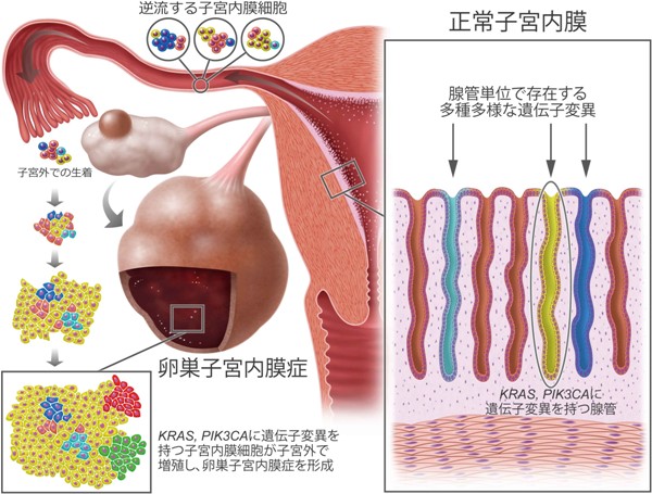 国立遺伝学研究所