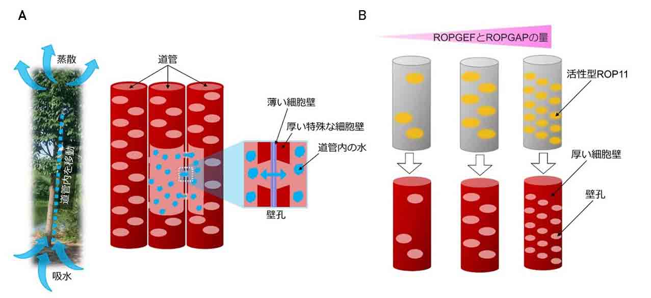 Figure1