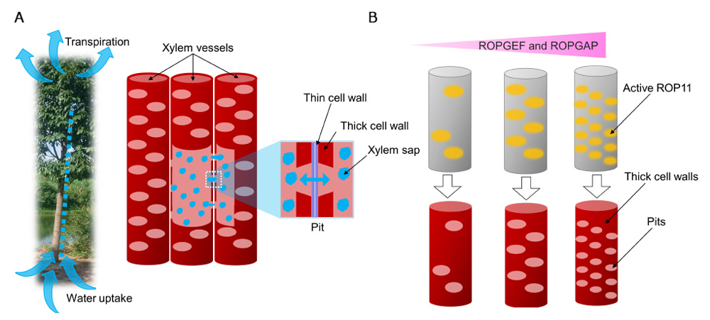 Figure1